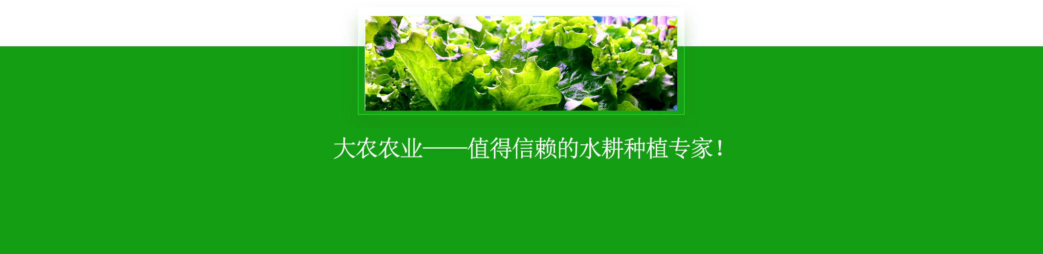 &#31859;&#20848;&#22312;&#32447;&#27880;&#20876;&#45;&#31859;&#20848;&#65288;&#20013;&#22269;&#65289;