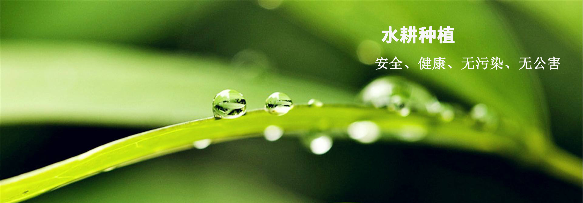 &#31859;&#20848;&#22312;&#32447;&#27880;&#20876;&#45;&#31859;&#20848;&#65288;&#20013;&#22269;&#65289;